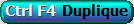 Duplique - ICIM SYSTEME