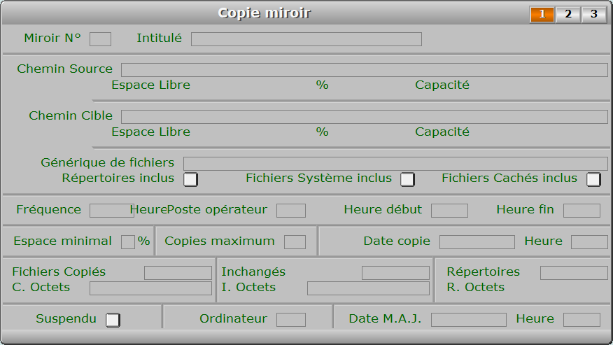 Fiche copie miroir - page 1 - ICIM SYSTEME